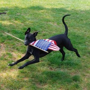 Meet your Posher, Libby